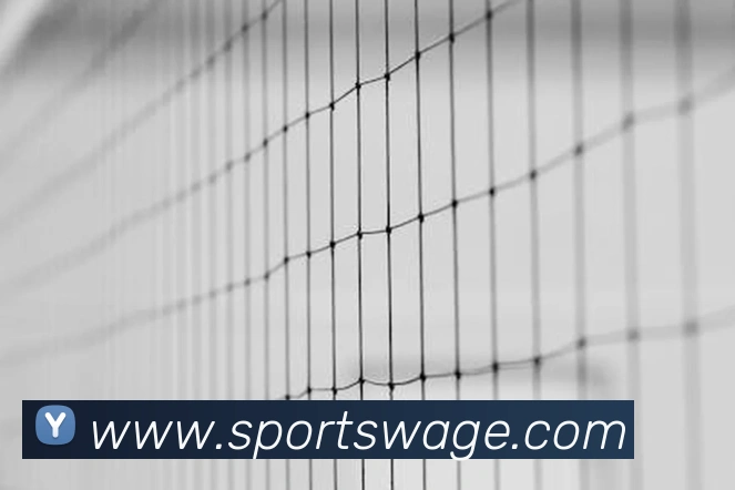 球赛投注服务体系